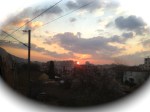 IMG_8686