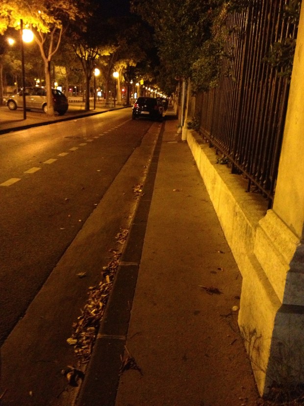 Leaves falling in gutter